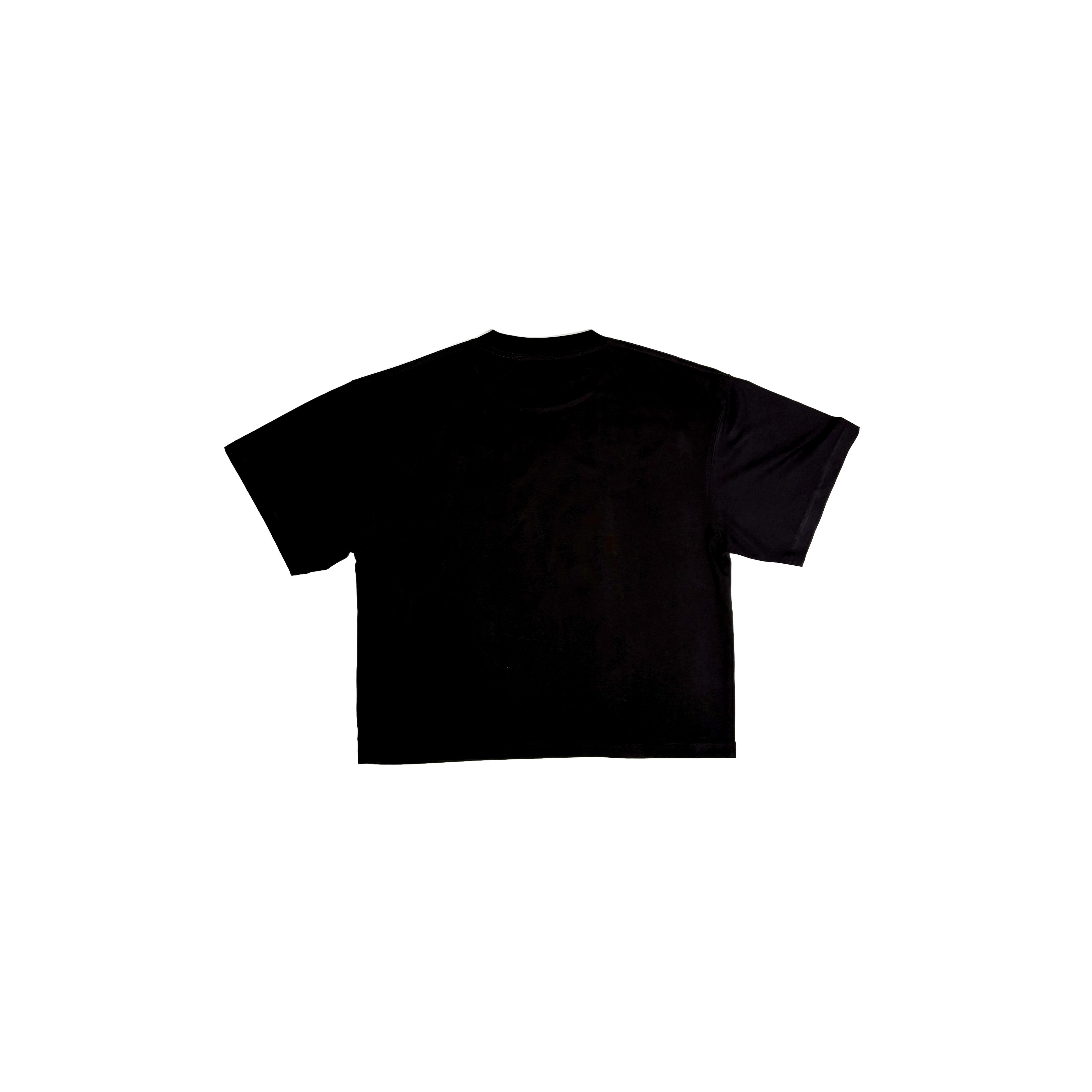 Project Basic Crop Oversize Tee