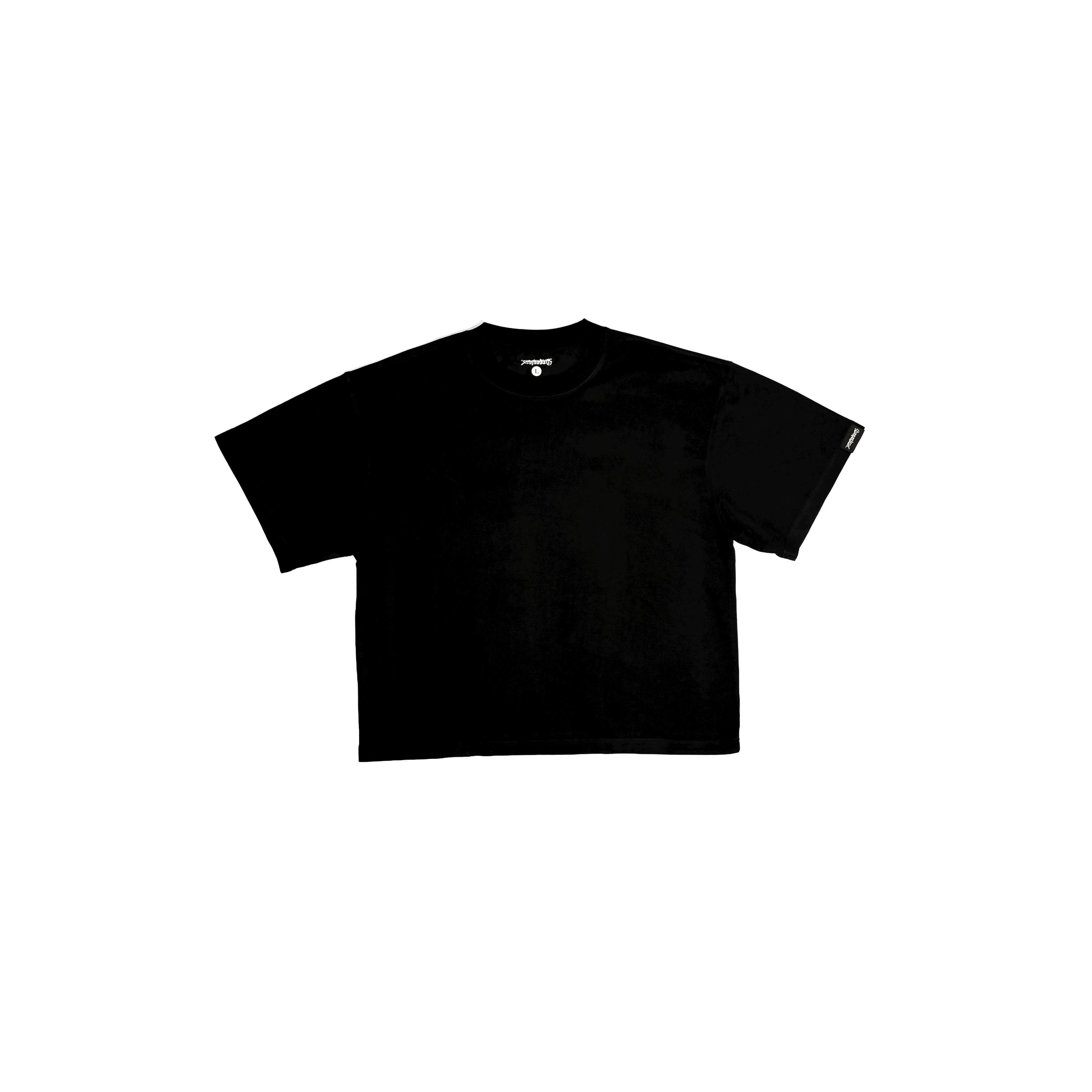 Project Basic Crop Oversize Tee