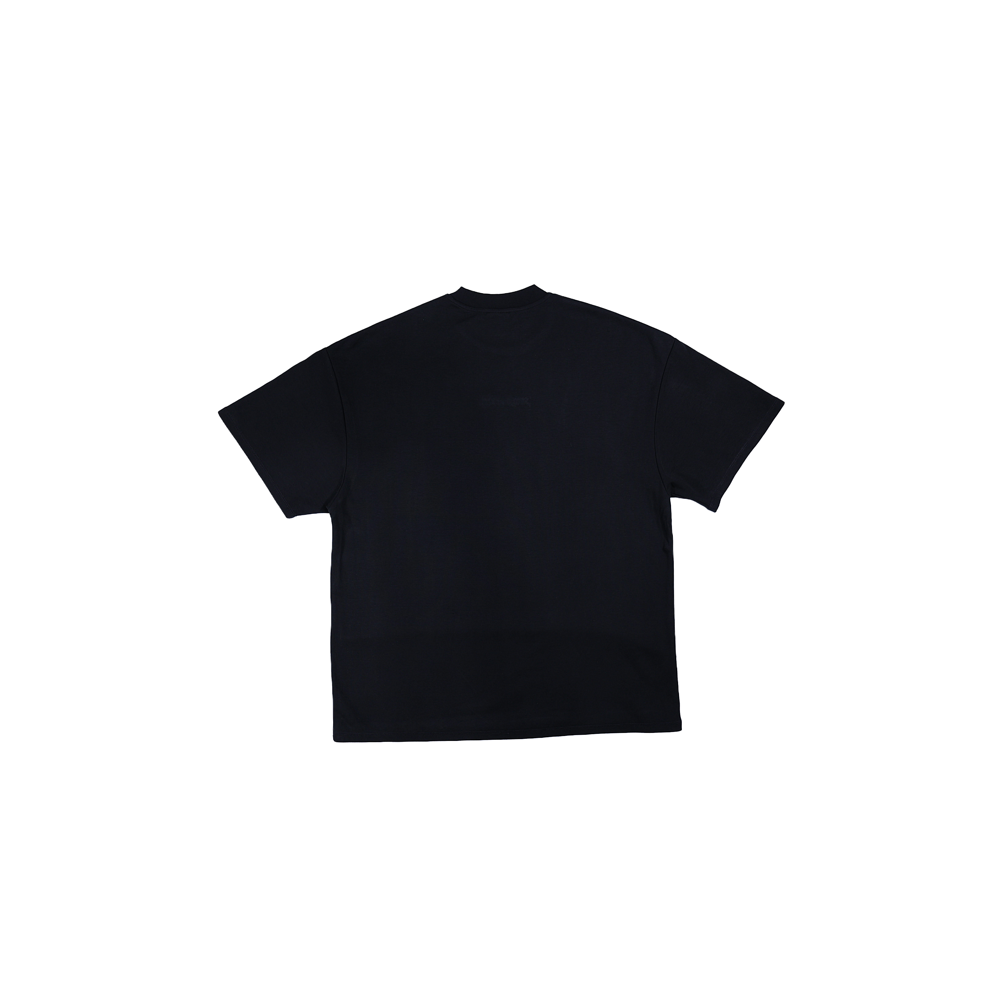 Project Statement Classic